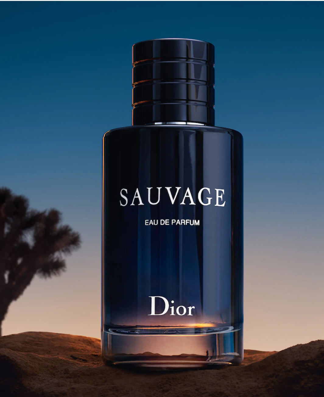 Sauvage Eau de Parfum
